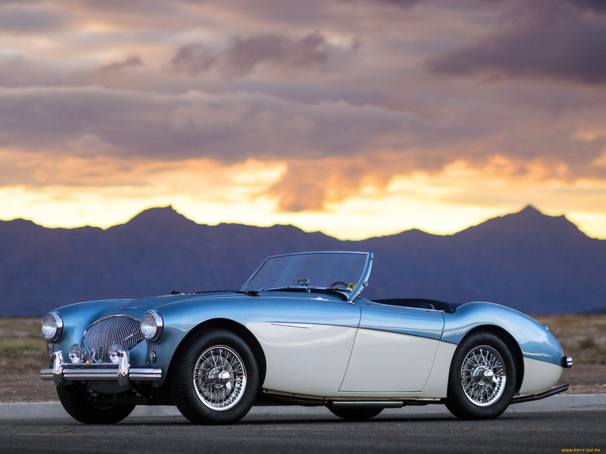 , austin, austin-healy